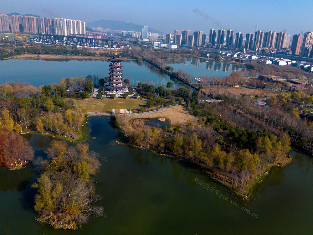 洋湖湿地，冬景如画