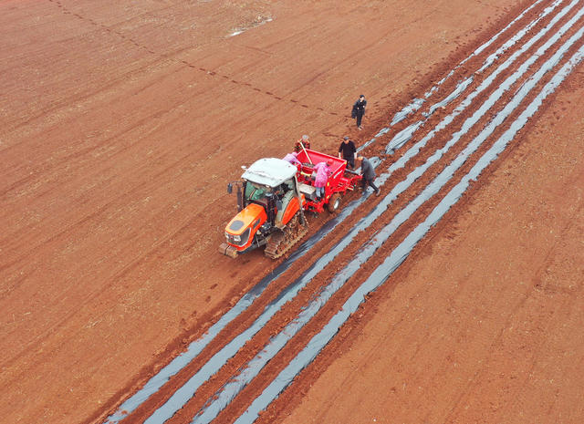 嘉禾：订单农业促增收