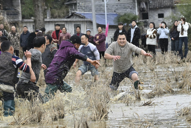 春节 过年 文化活动 民俗 抢鸭子