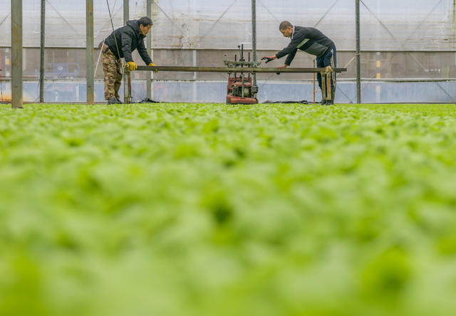 湖南道县：人勤春早管护忙