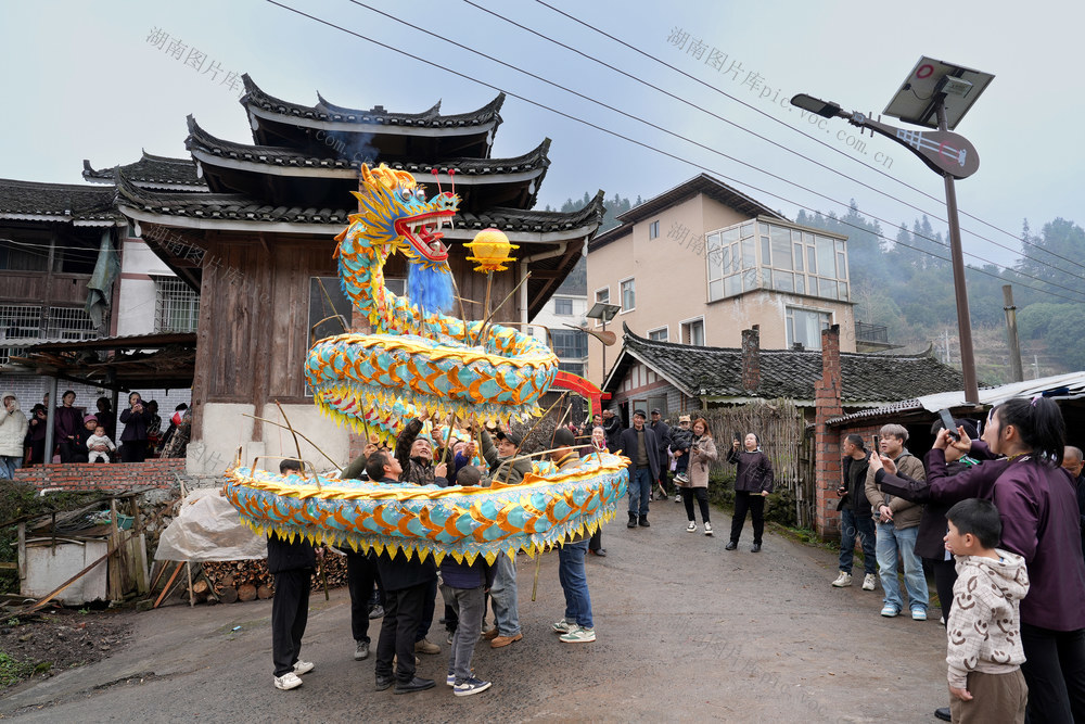 侗寨 舞龙 迎新春 民俗