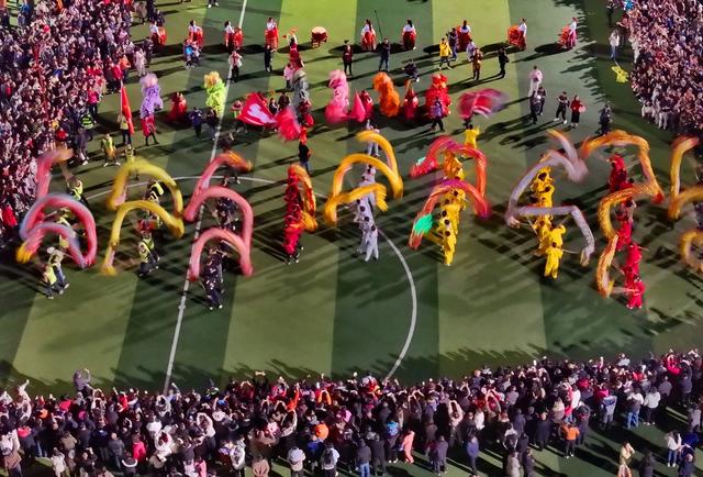 龙腾 狮跃 迎新春