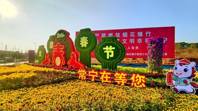 常宁  春节  鲜花  美景