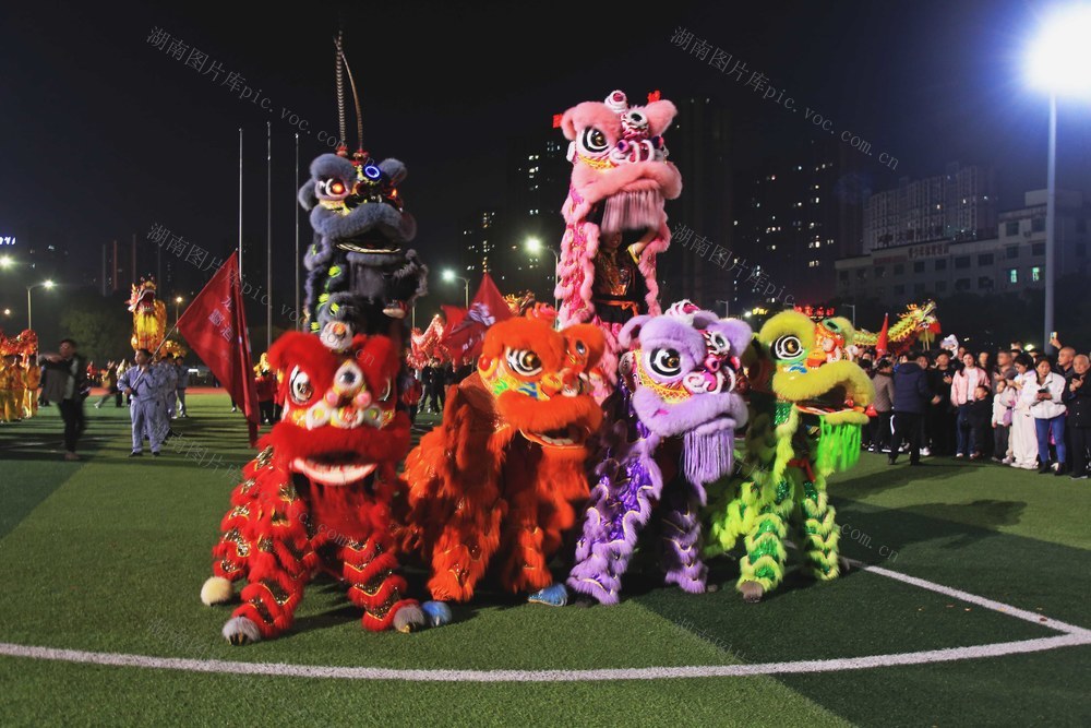 平湖公园.龙狮表演