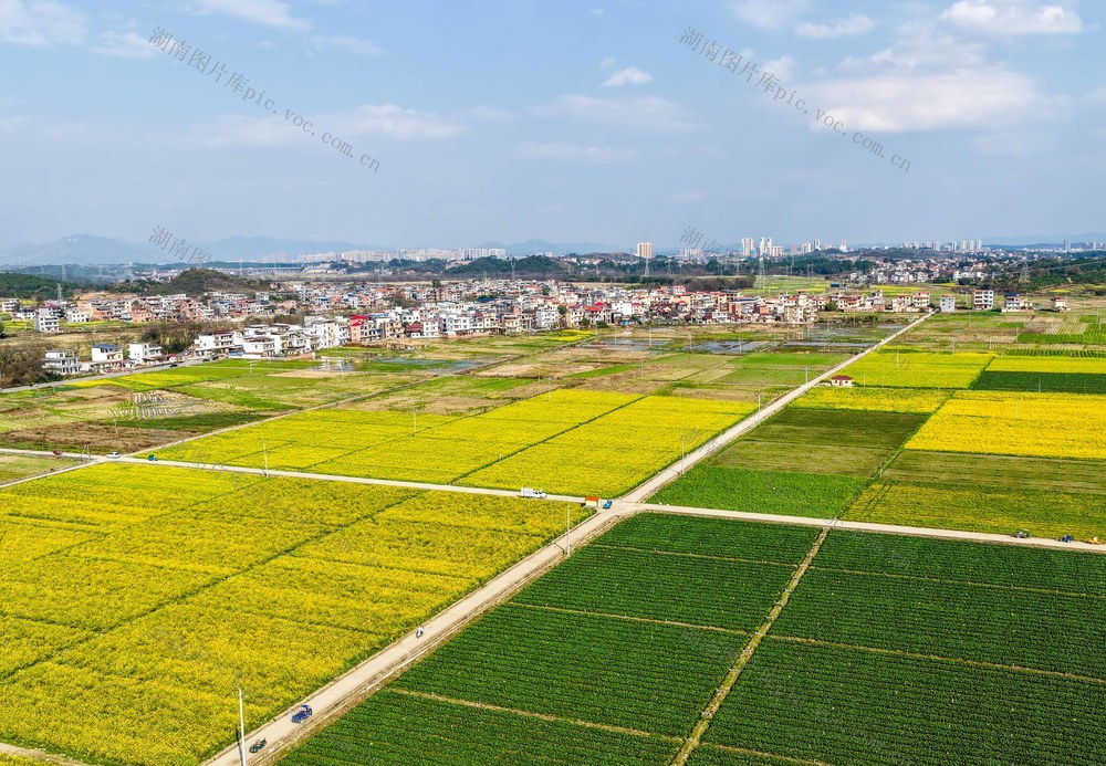 湖南道县：春回大地如画卷