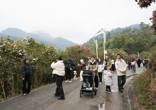春节，登高，健康，快乐，慢生活。