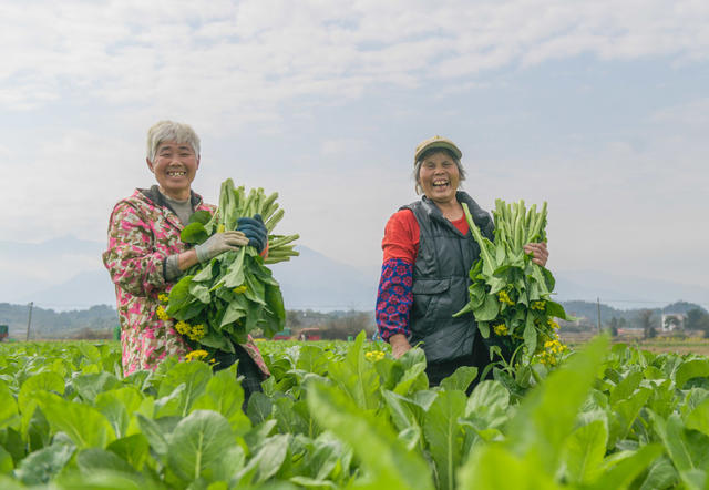 湖南道县：雨水节气农事忙