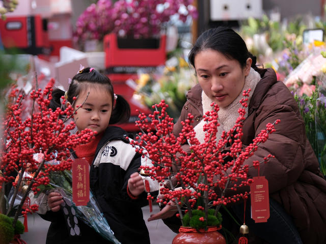 春节，花卉