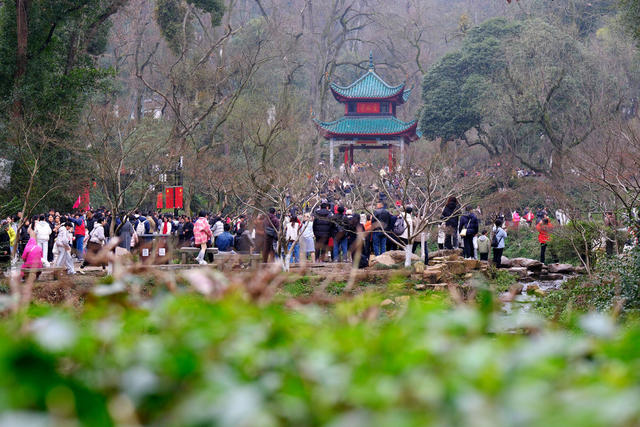 爱晚亭，游人如织