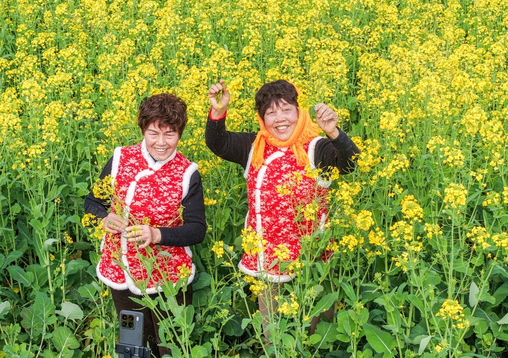 湖南道县：油菜花开酸游人