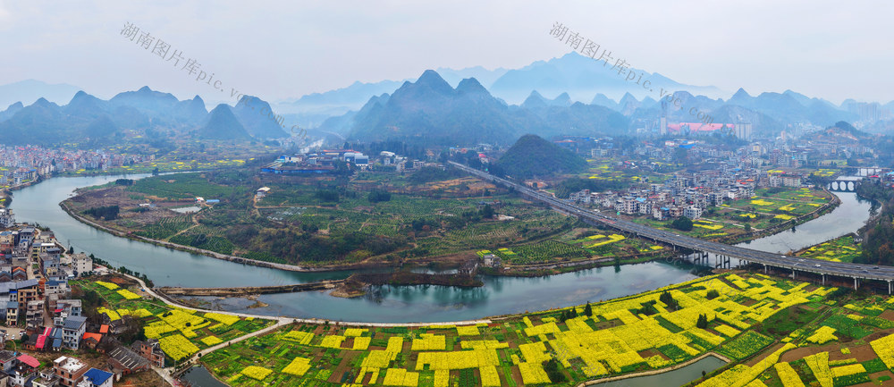 嘉禾：油菜花开乡村美