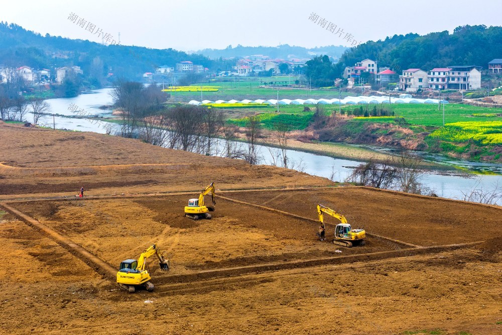 春天  农田  项目  春节  坚守岗位 