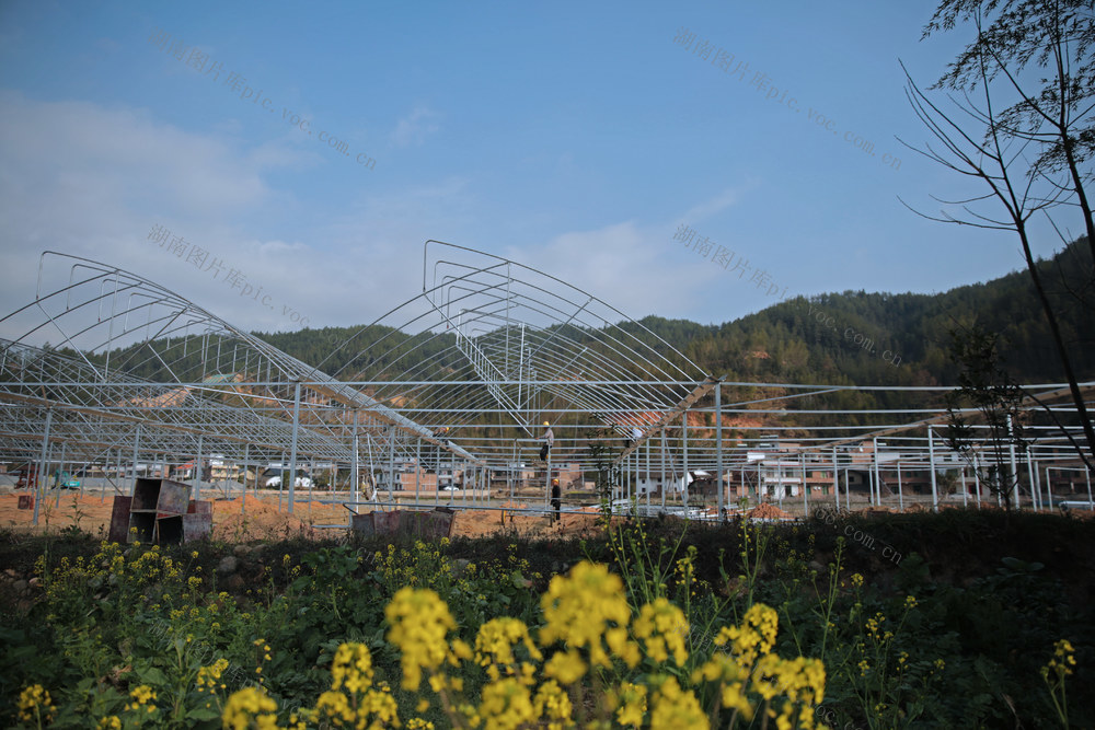 湖南桂东：人勤春早 智慧蔬菜大棚“ 欣荣生态农业有限公司”