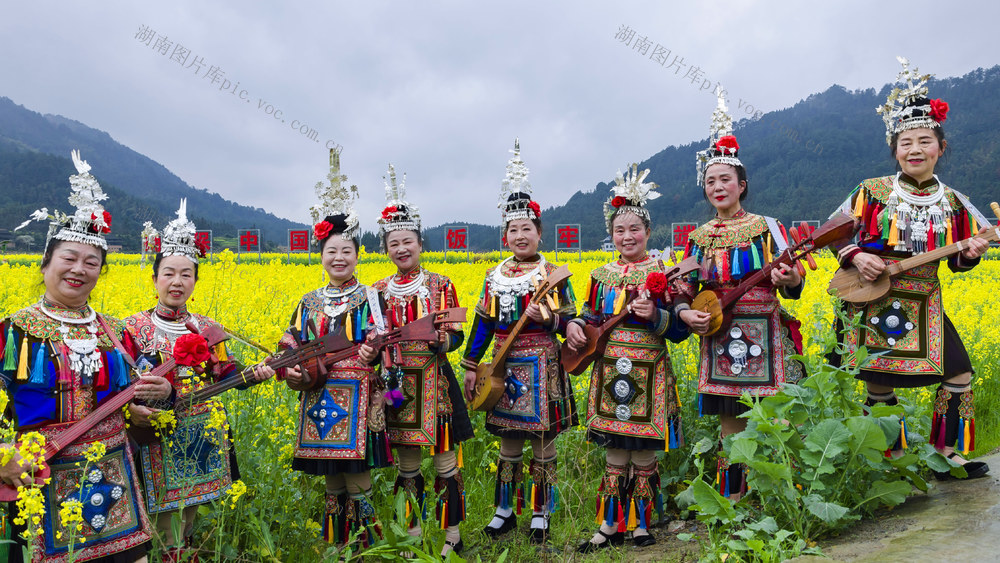 通道 乡村 油菜 花节 吸引 游客 赏花 游玩 拍照 打卡