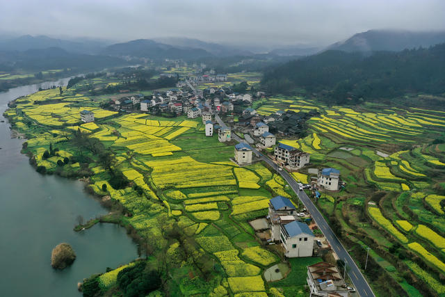 油菜花 绽放 吸引 游客 春天 发展 “农业+旅游”农民增收
