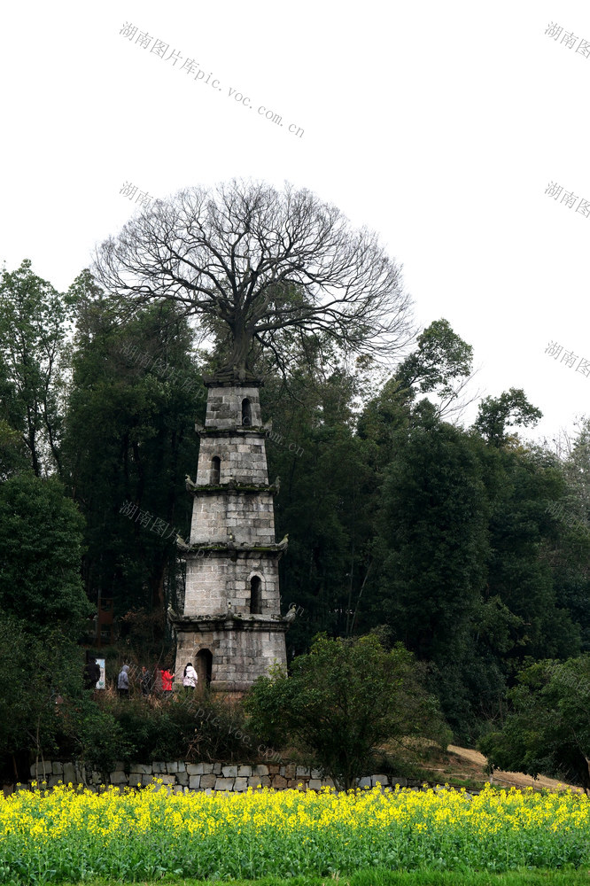 茶亭镇，九峰山村