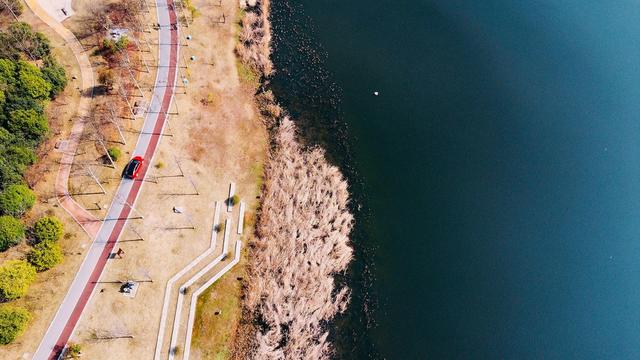 湿地 公园 湖 水