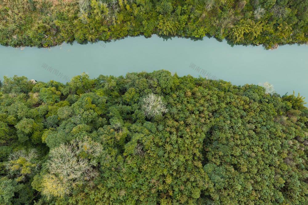 水清 岸绿 生态 河 绿水青山