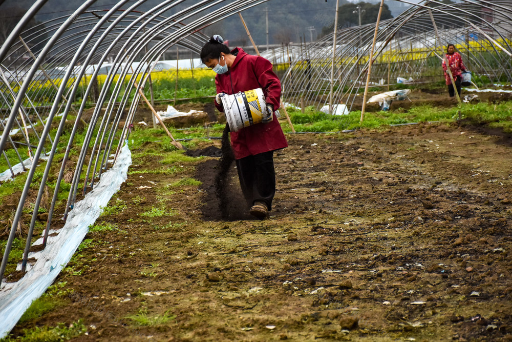 春耕施肥 育有机西瓜