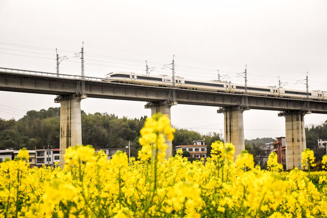 花田焕彩 振兴提速
