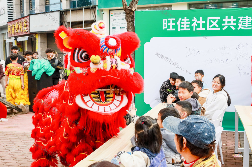 舞狮  迎春  立春  民俗