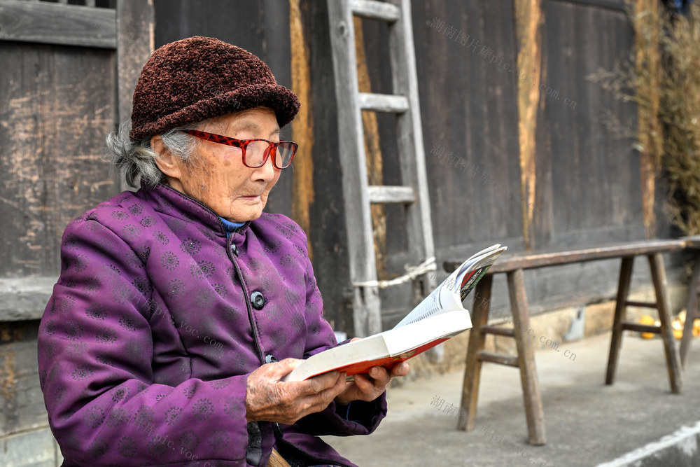 老人 百岁老人 阅读 书籍 乡村 
