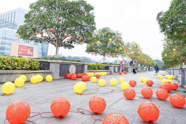 张灯结彩数据：
亮化灯饰2900余套   悬挂灯笼14600余套（个）   时花摆放24270余盆