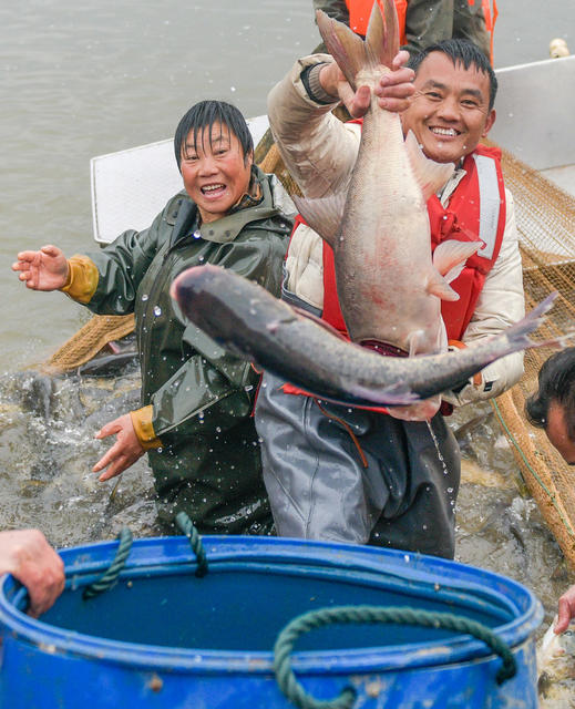 湖南道县：人欢鱼跃年味浓
