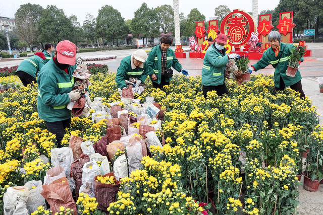 花团锦簇迎新春