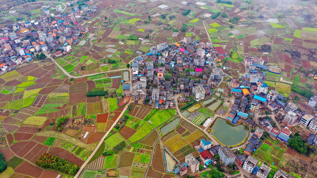 湖南新田：春日田园美 宛如调色板