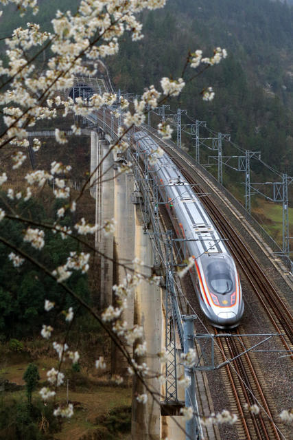 湖南，龙山，列车，春天，山花，画卷