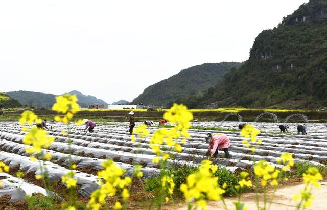 人勤春来早 春耕备耕忙