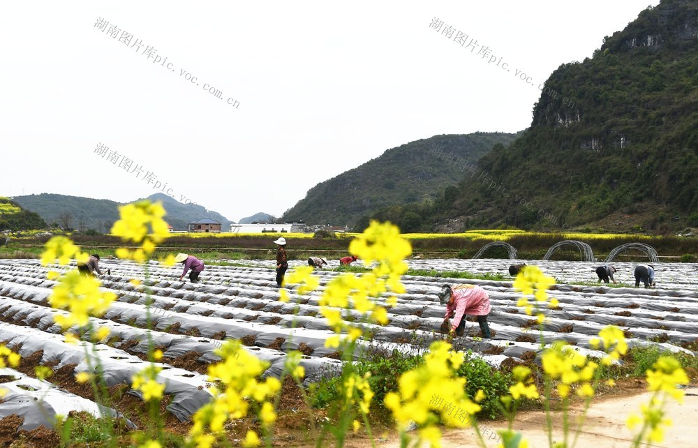人勤春来早 春耕备耕忙