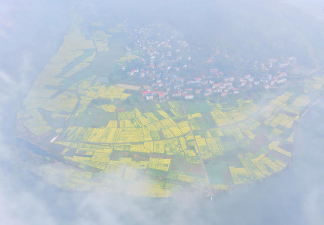 田园 油菜花 春日 美景