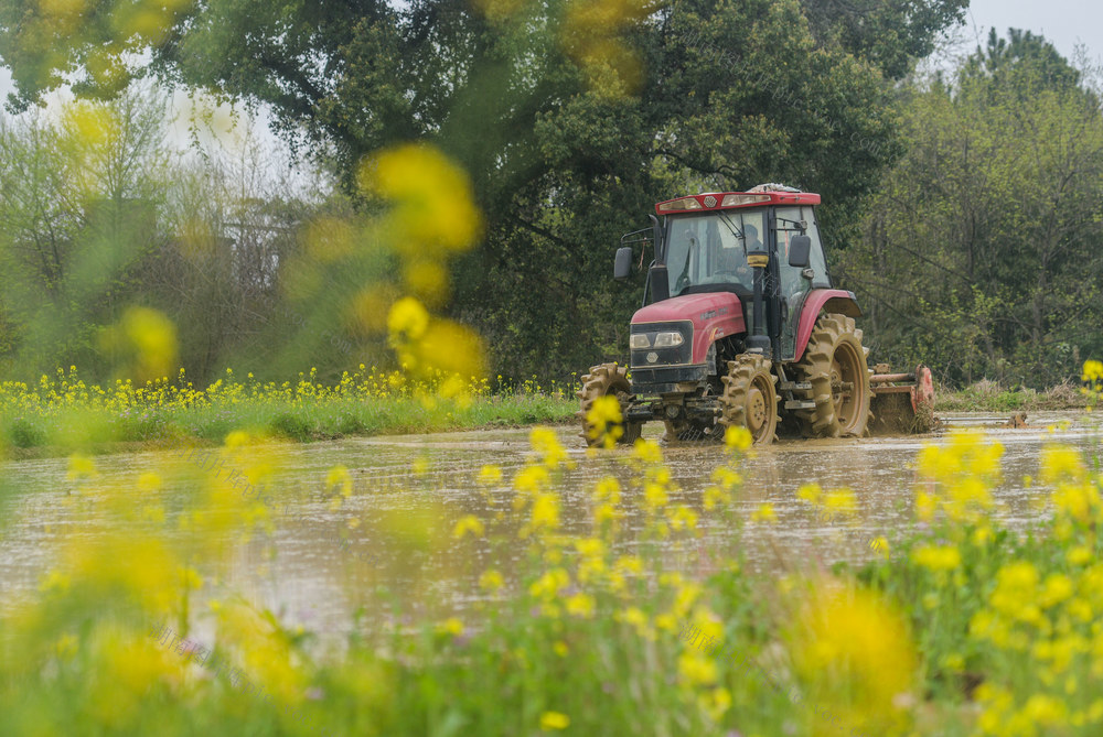 湖南道县：抢农时春耕 