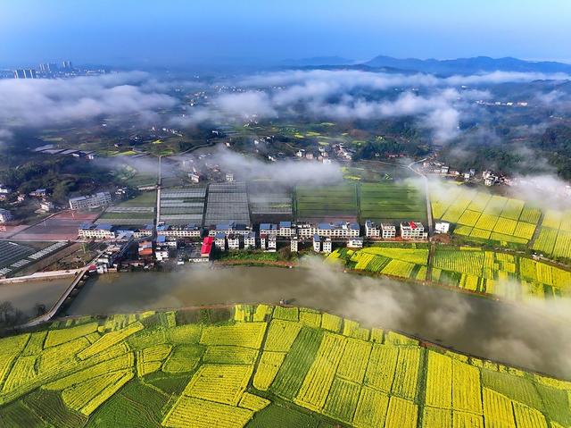 云雾  缭绕  村庄  美