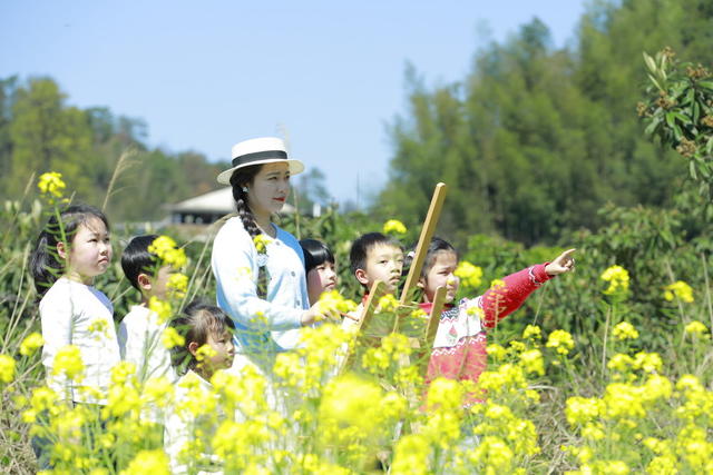课堂 搬进 田里
