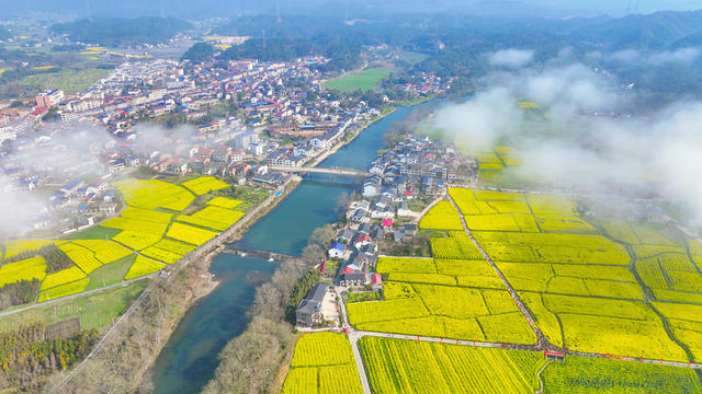 浏阳 油菜花 达浒