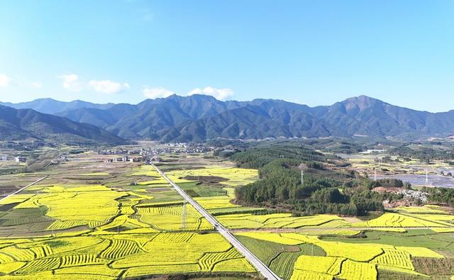 春日田园   色彩斑斓