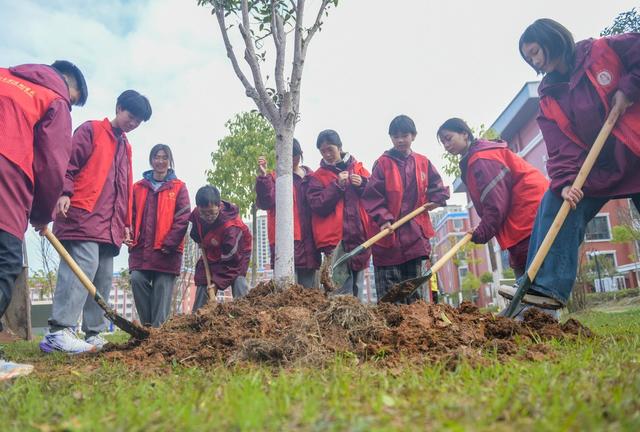 湖南道县：植树添新绿