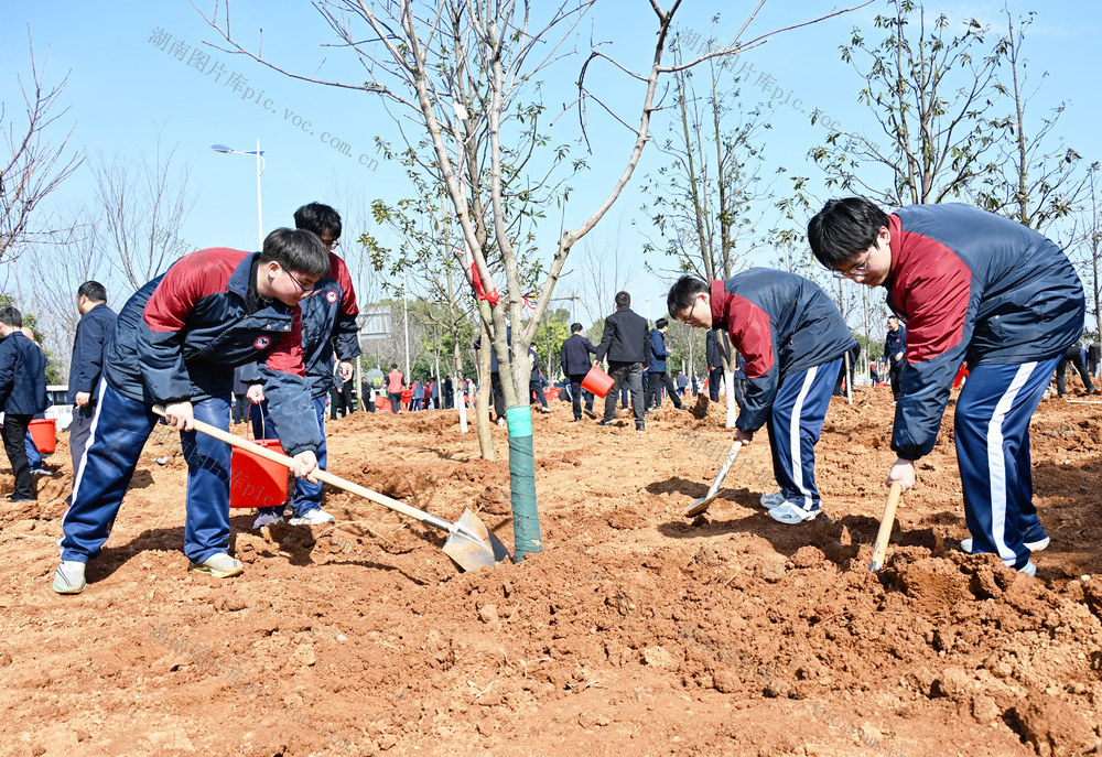 植树节  机关干部  师生  绿色家园