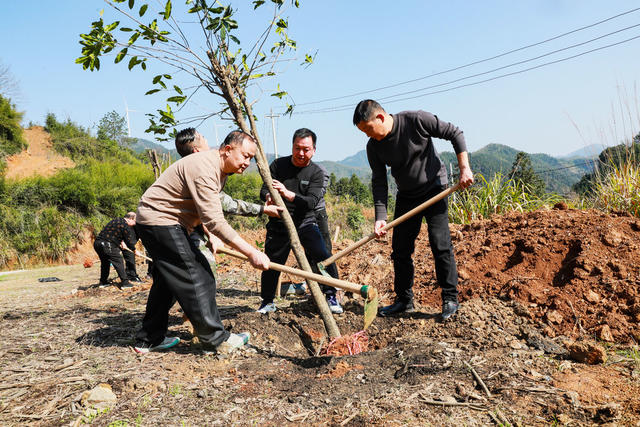 植树节  党员  志愿者  植树