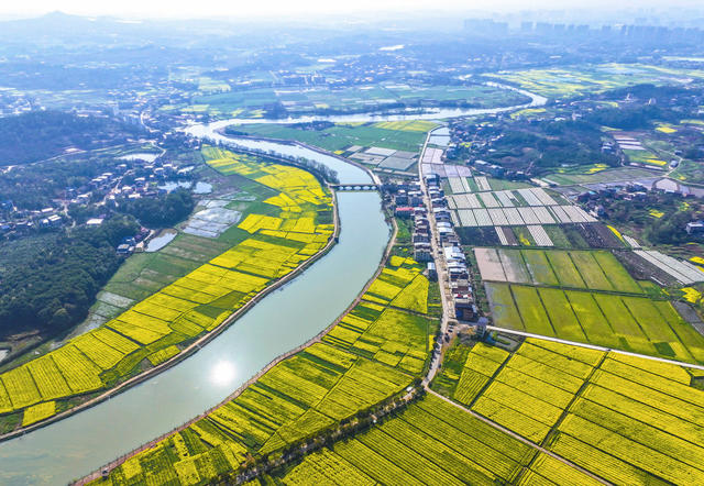 春景   春色  春光  油菜花  乡村景色