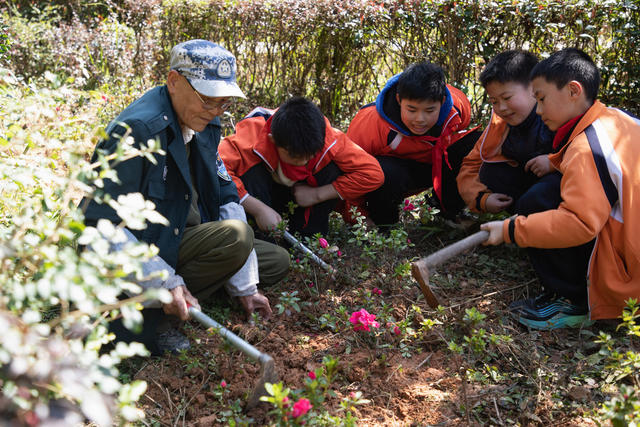 小学生   植树   敬老   爱心树