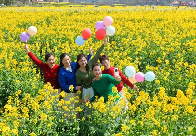 五彩 油菜花 踏青 赏花 春光