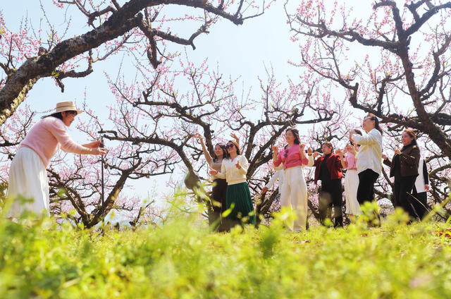 蓝山：桃花盛开迎客来