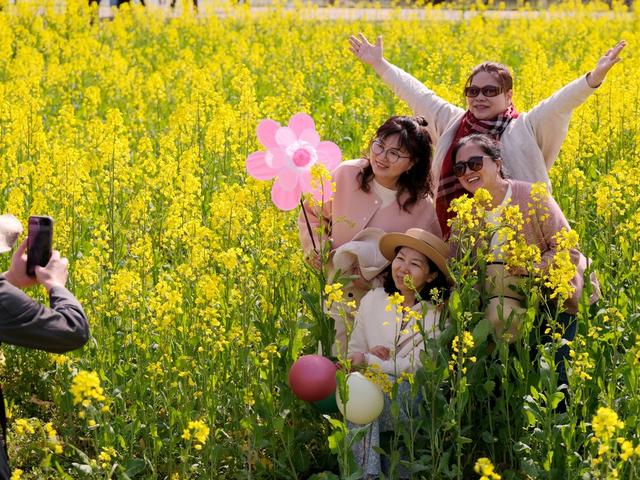 含浦街道，油菜花田