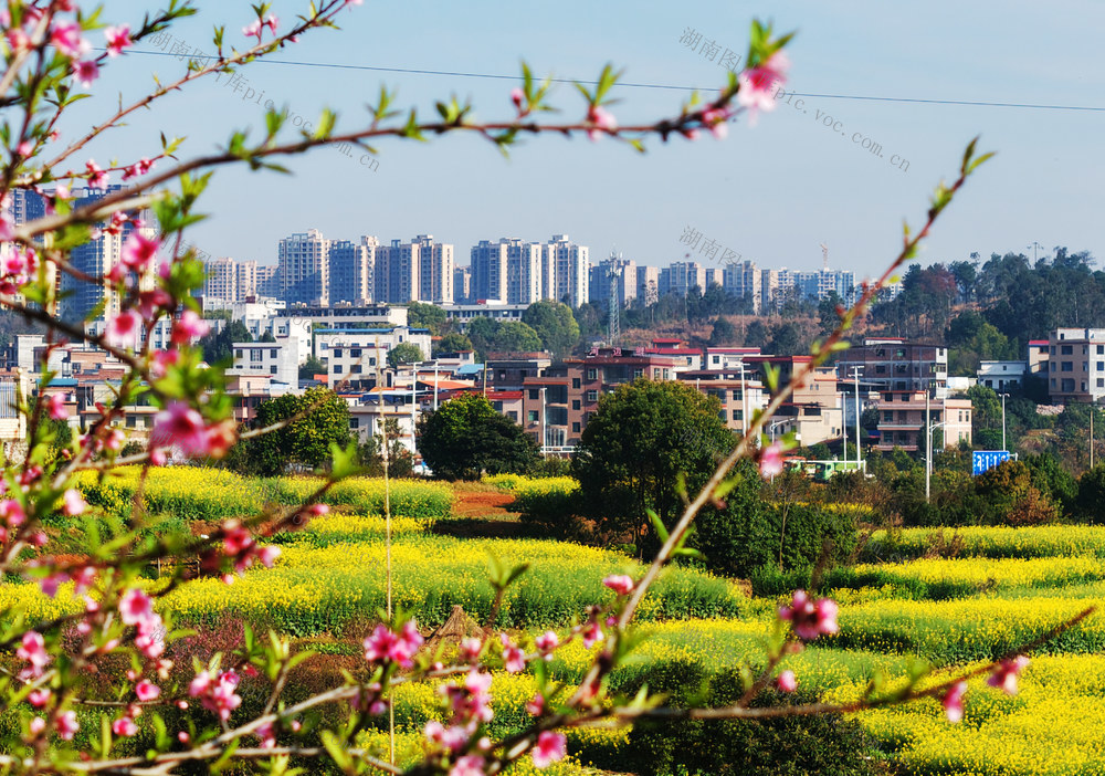 嘉禾：城乡春意浓