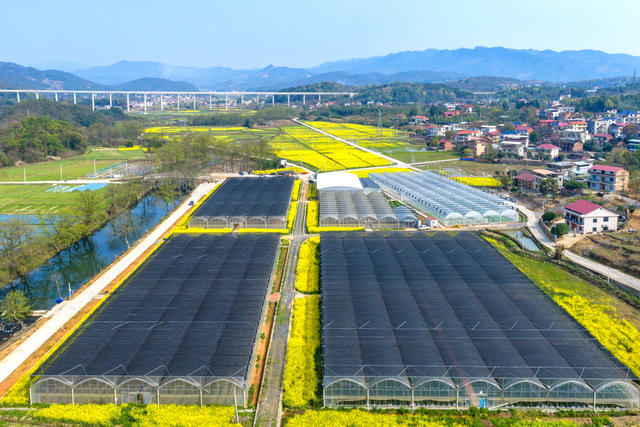 美丽乡村  田园综合体    