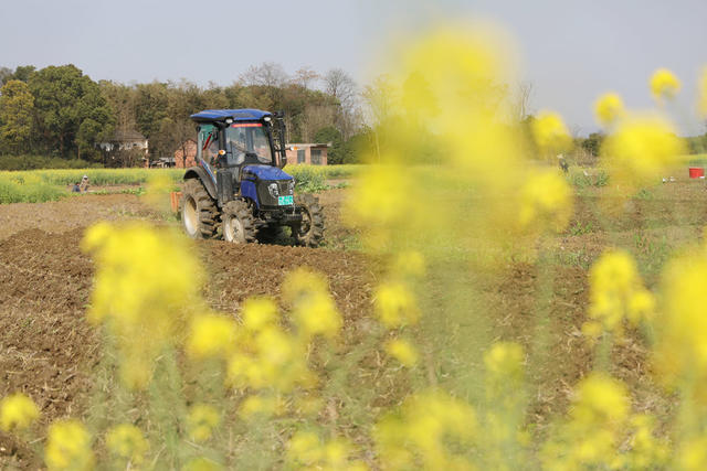 春耕 备耕